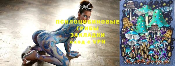 ПСИЛОЦИБИНОВЫЕ ГРИБЫ Переславль-Залесский