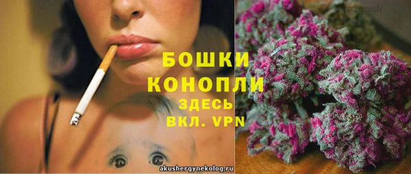 ПСИЛОЦИБИНОВЫЕ ГРИБЫ Переславль-Залесский