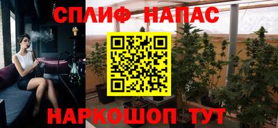 прущие грибы Балаково