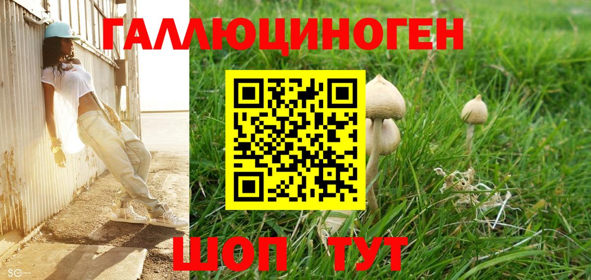Псилоцибиновые грибы ЛСД  Галлюциногенные грибы Psilocybe  Кыштым 