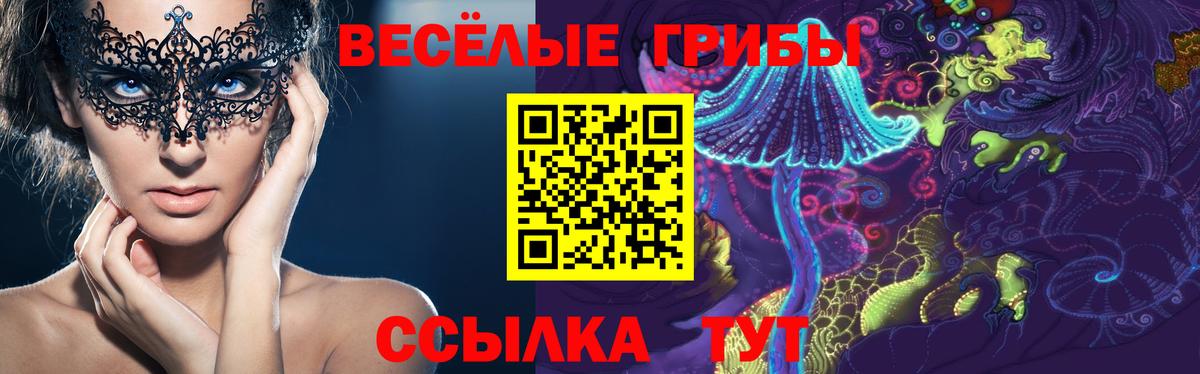 Псилоцибиновые грибы MAGIC MUSHROOMS  Вход с VPN  цены наркотик  Кыштым 