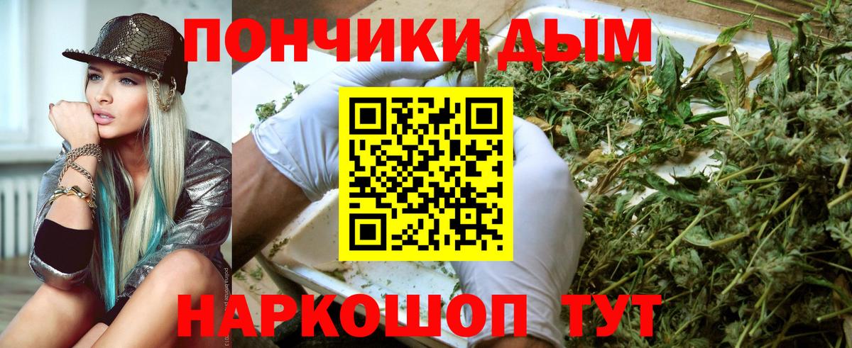 Бошки Шишки Amnesia Кыштым